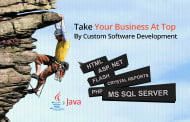 How Custom Software Development can help you in your Business?
