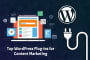 Top WordPress Plug-ins for Content Marketing