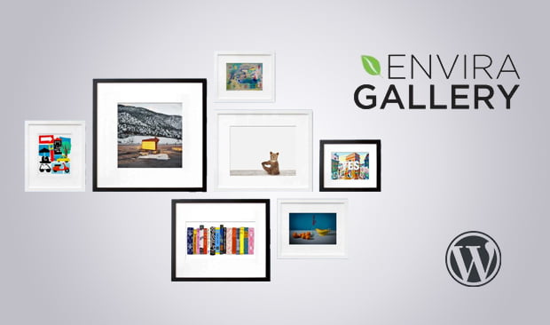 envira-gallery-plugin