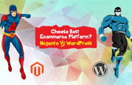 How to Choose Best Ecommerce Platform? Magento vs. WordPress