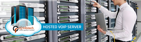 hosted voip server image