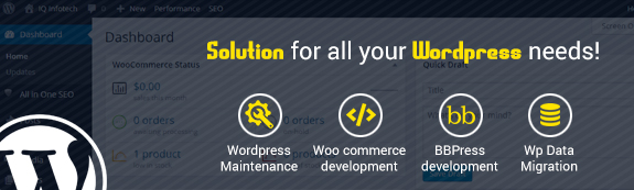 WordPress development company